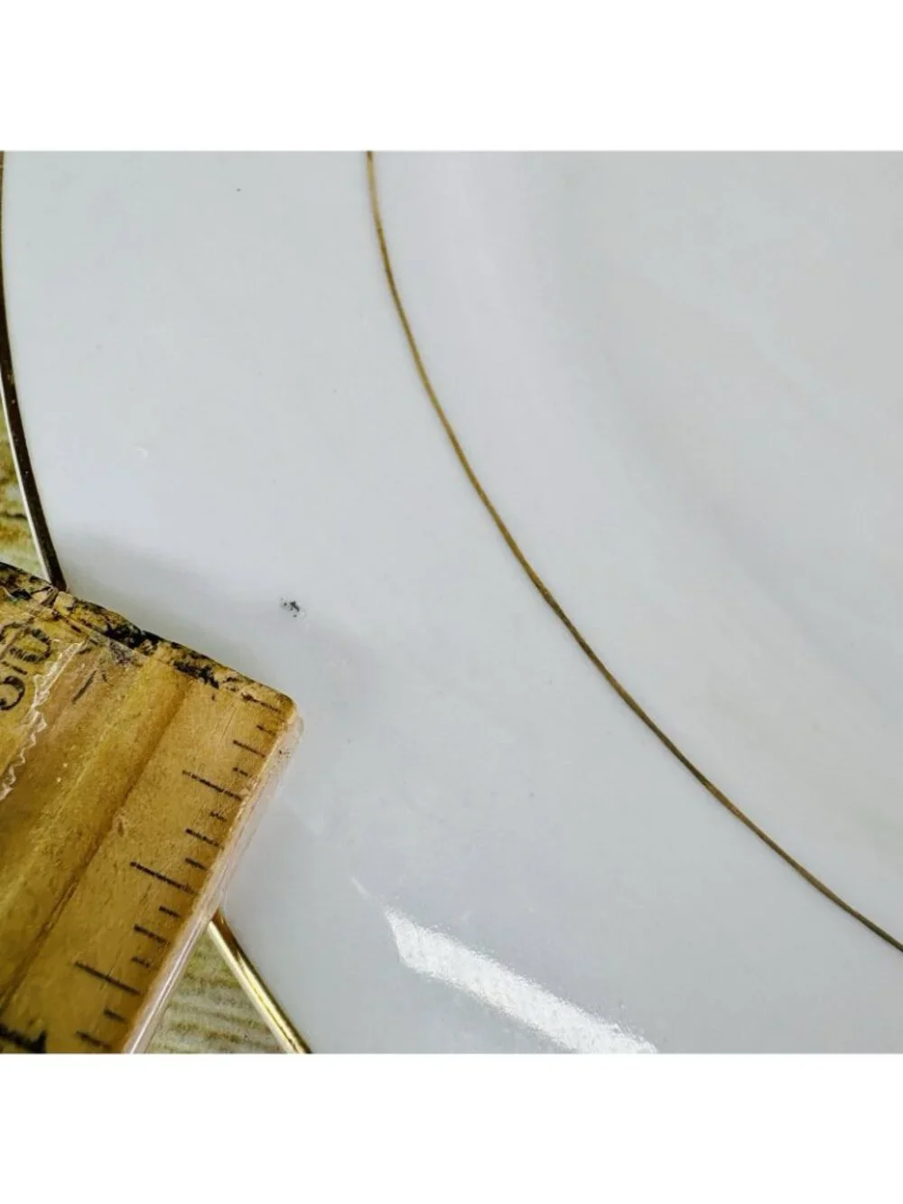 Vintage Kmart ELEGANT GOLD White Gold Trim Rim Porcelain Dinner Plates Set of 2